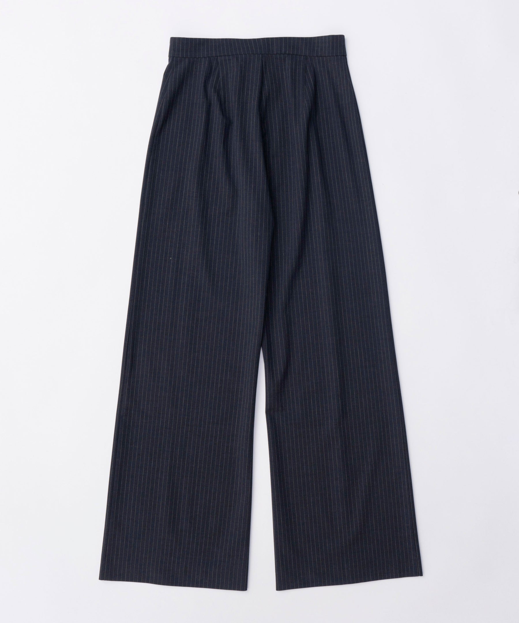 Box Pleated Skirt Pants